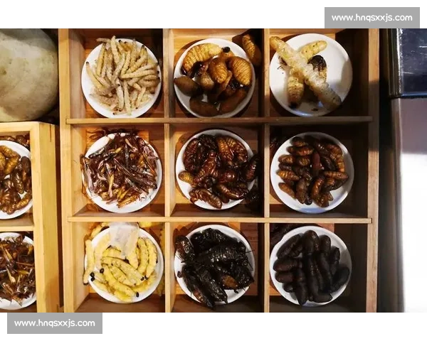 全球最刺激吃虫子大赛现场挑战极限勇气与味蕾体验 全球最刺激吃虫子大赛现场挑战极限勇气与味蕾体验